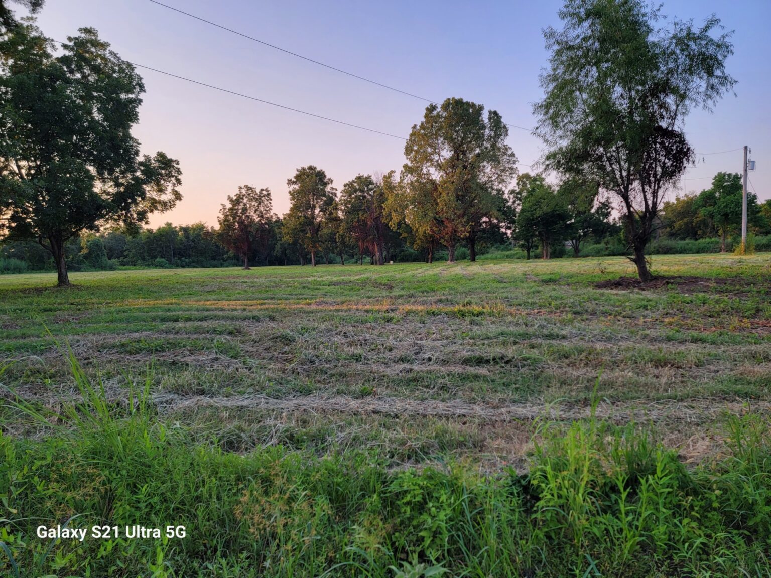 Sonya’s Lane Lots & Farmland, Masonville RD, McGehee, Arkansas 71654